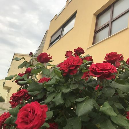 Apartman Mig Salona Kültér fotó