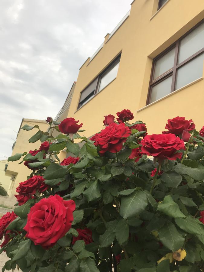 Apartman Mig Salona Kültér fotó