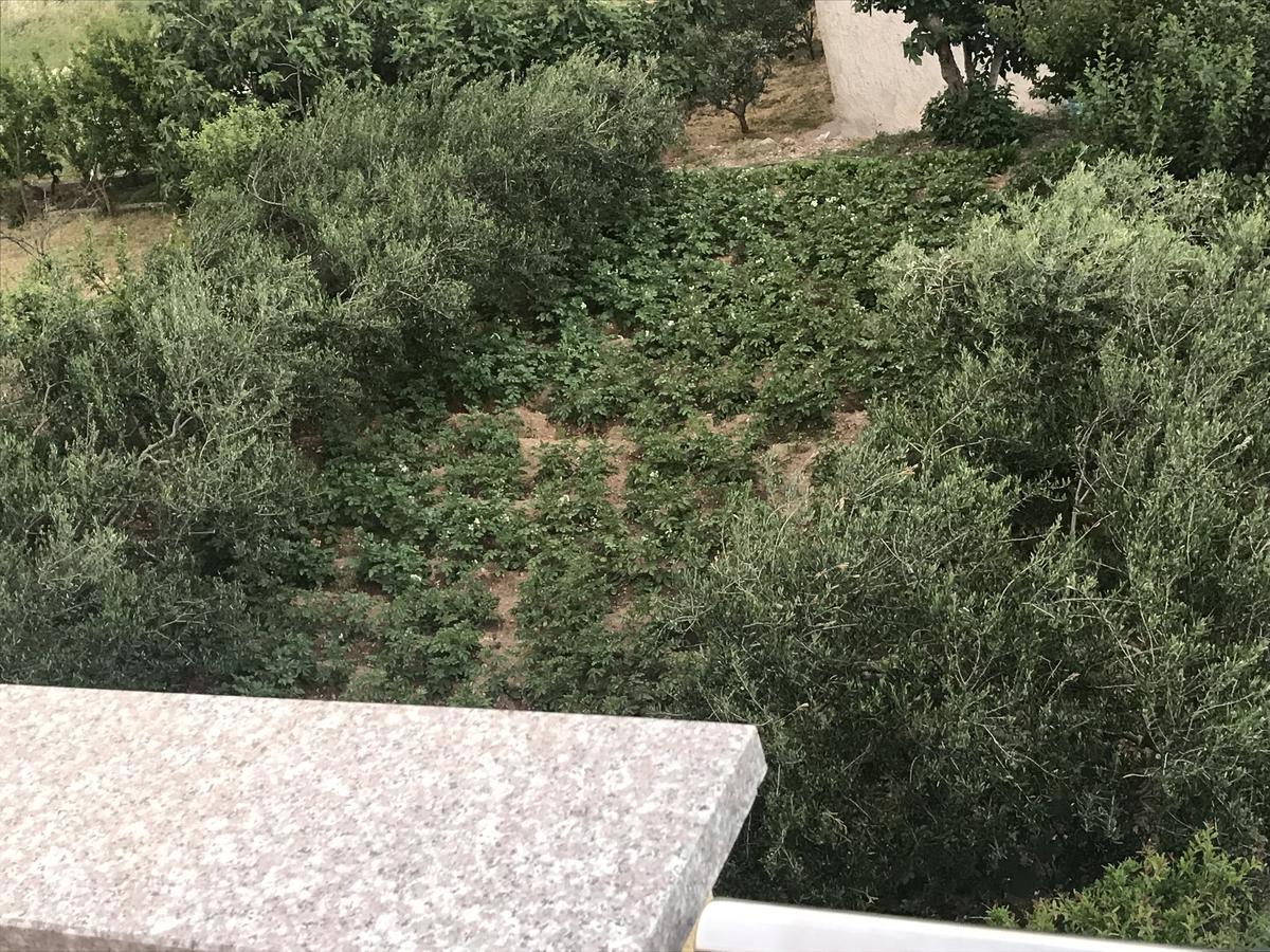 Apartman Mig Salona Kültér fotó